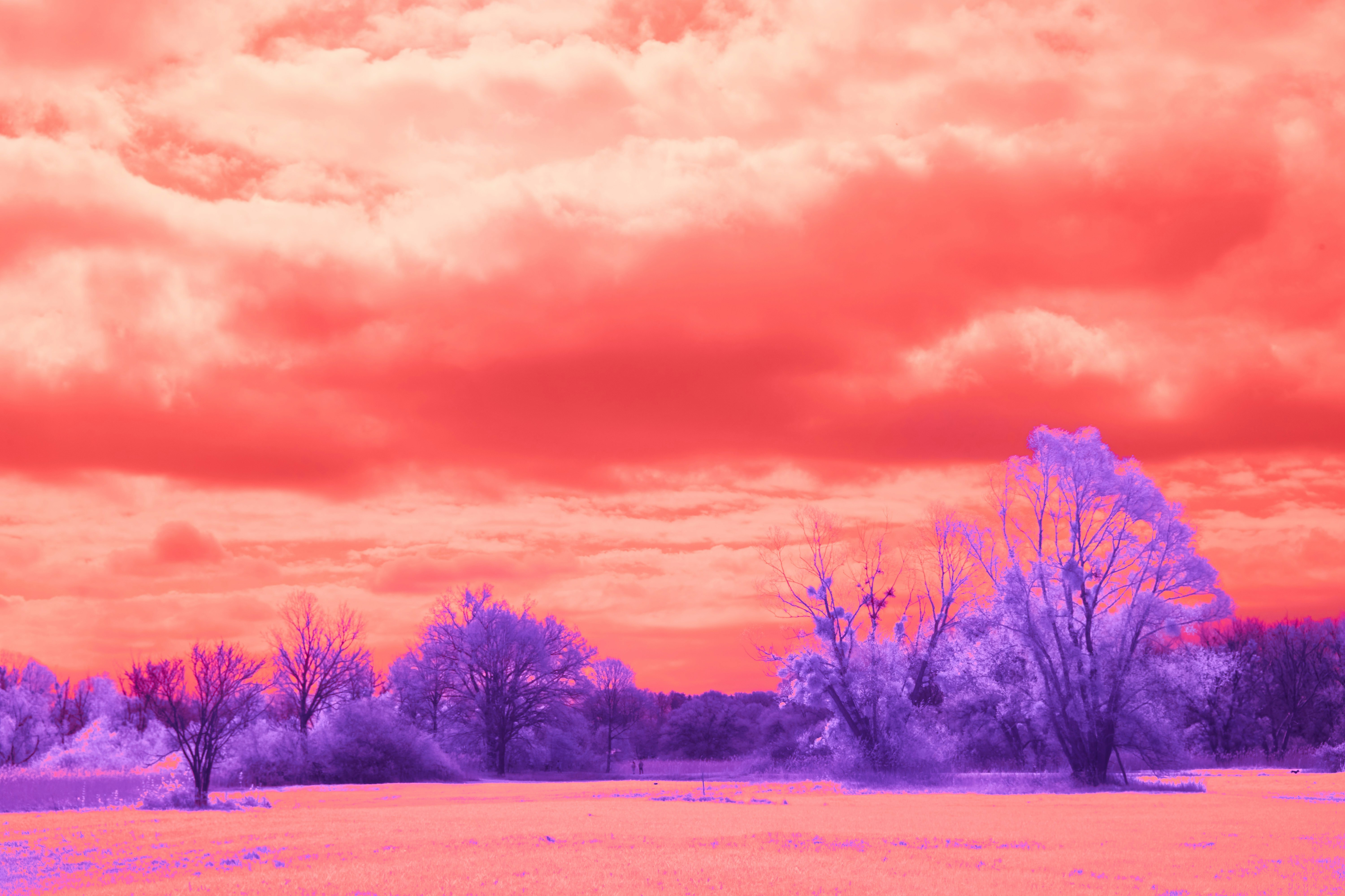 Photo by wolfgang_hasselmann