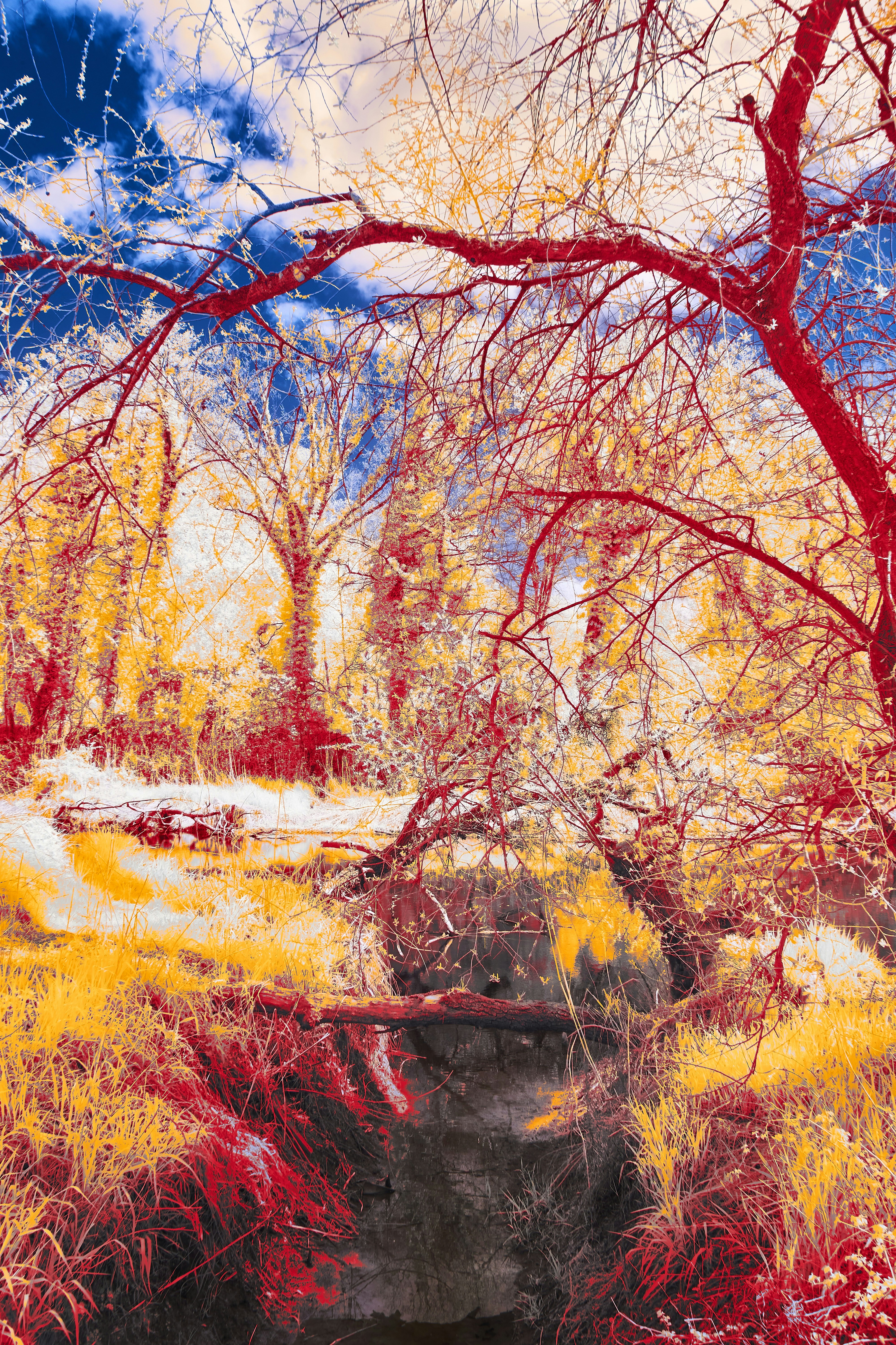 Photo by wolfgang_hasselmann