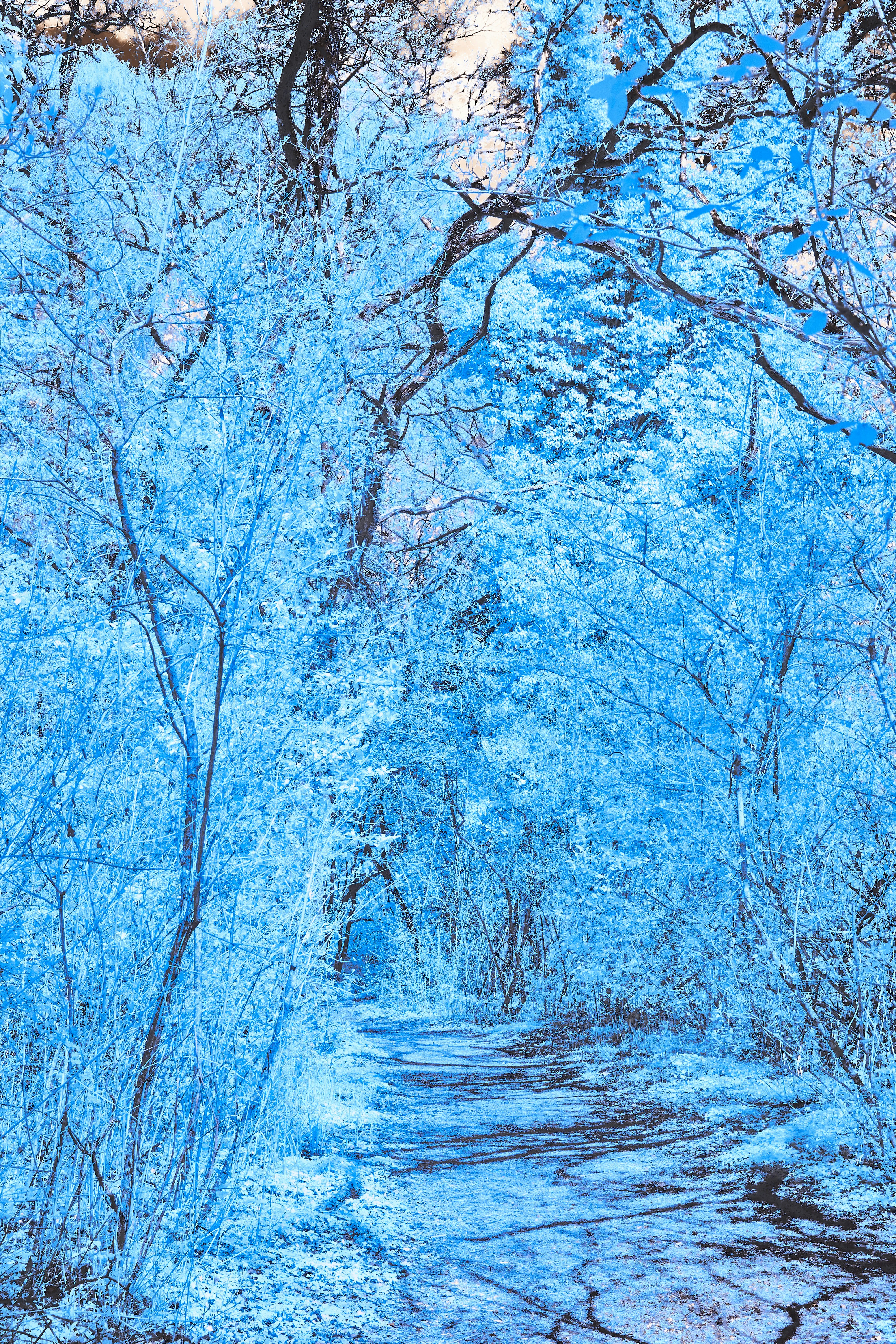 Photo by wolfgang_hasselmann