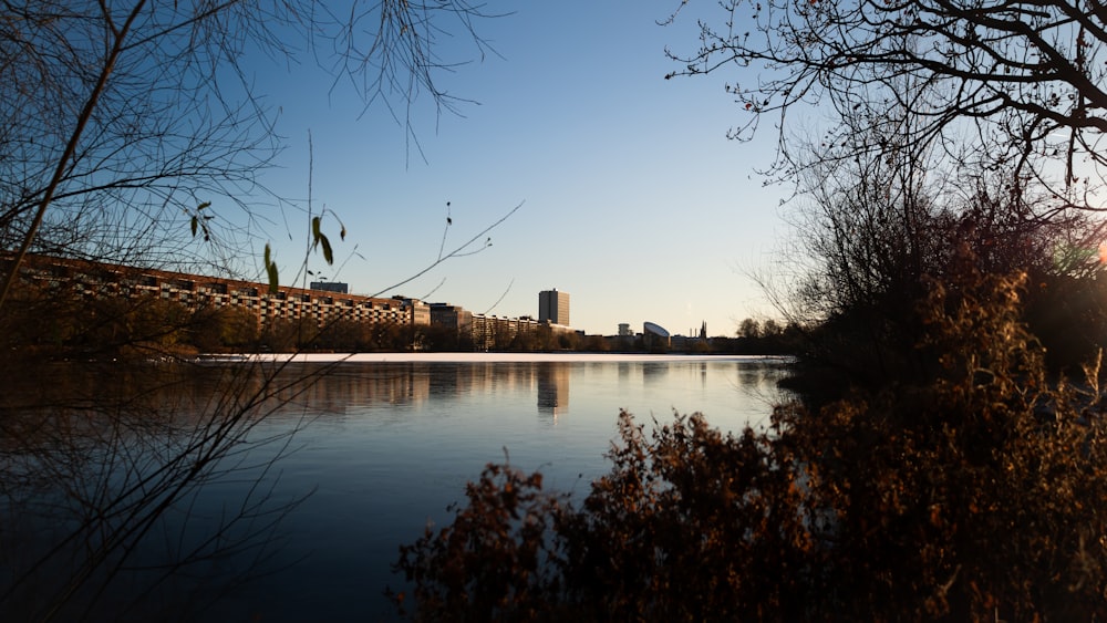 uno specchio d'acqua circondato da alberi ed edifici