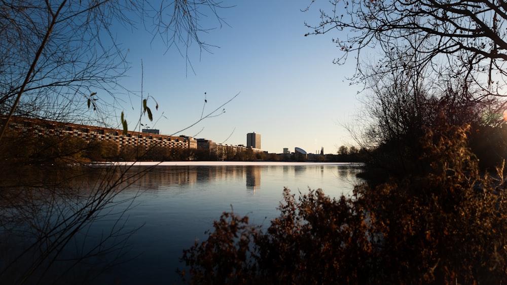 a body of water surrounded by trees and buildings