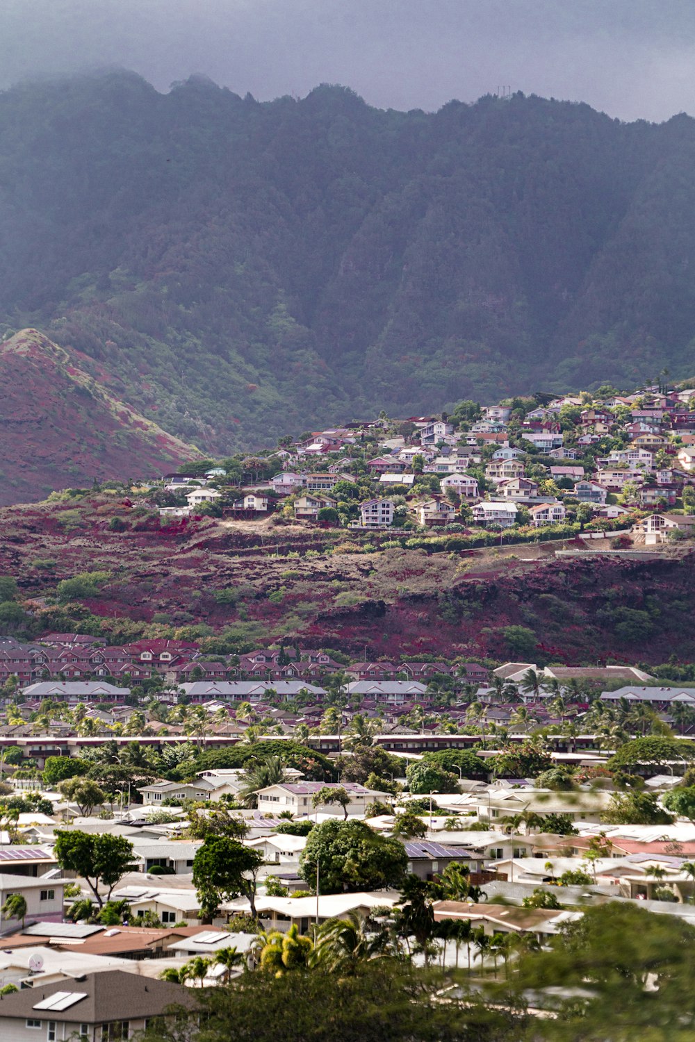 a view of a city with mountains in the background