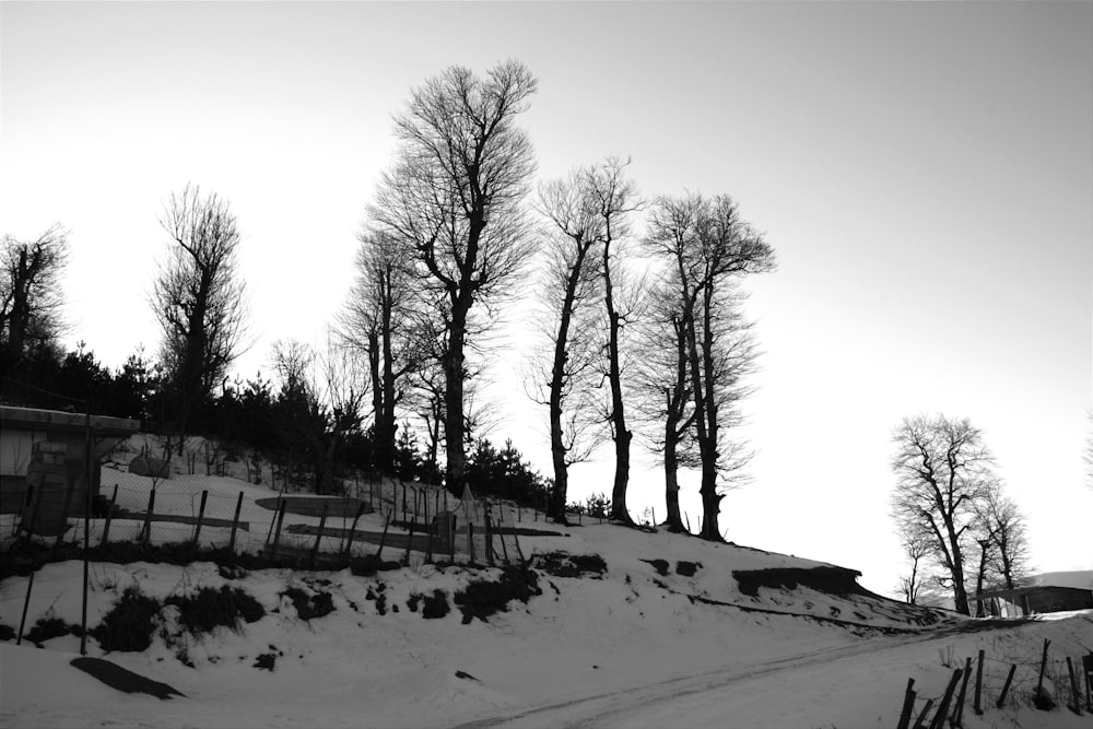 a black and white photo of a snow covered hill