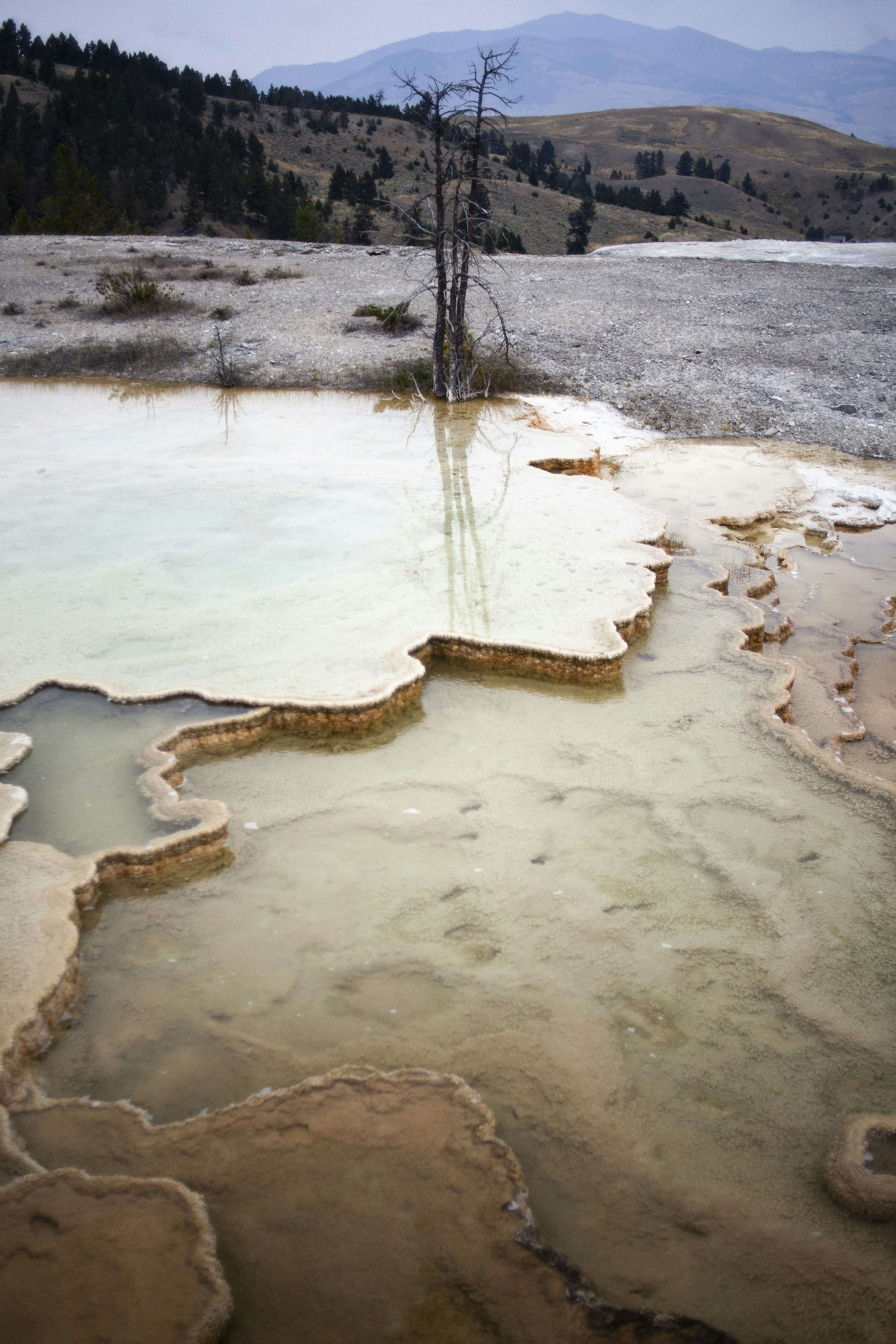 Photo by andycastillo