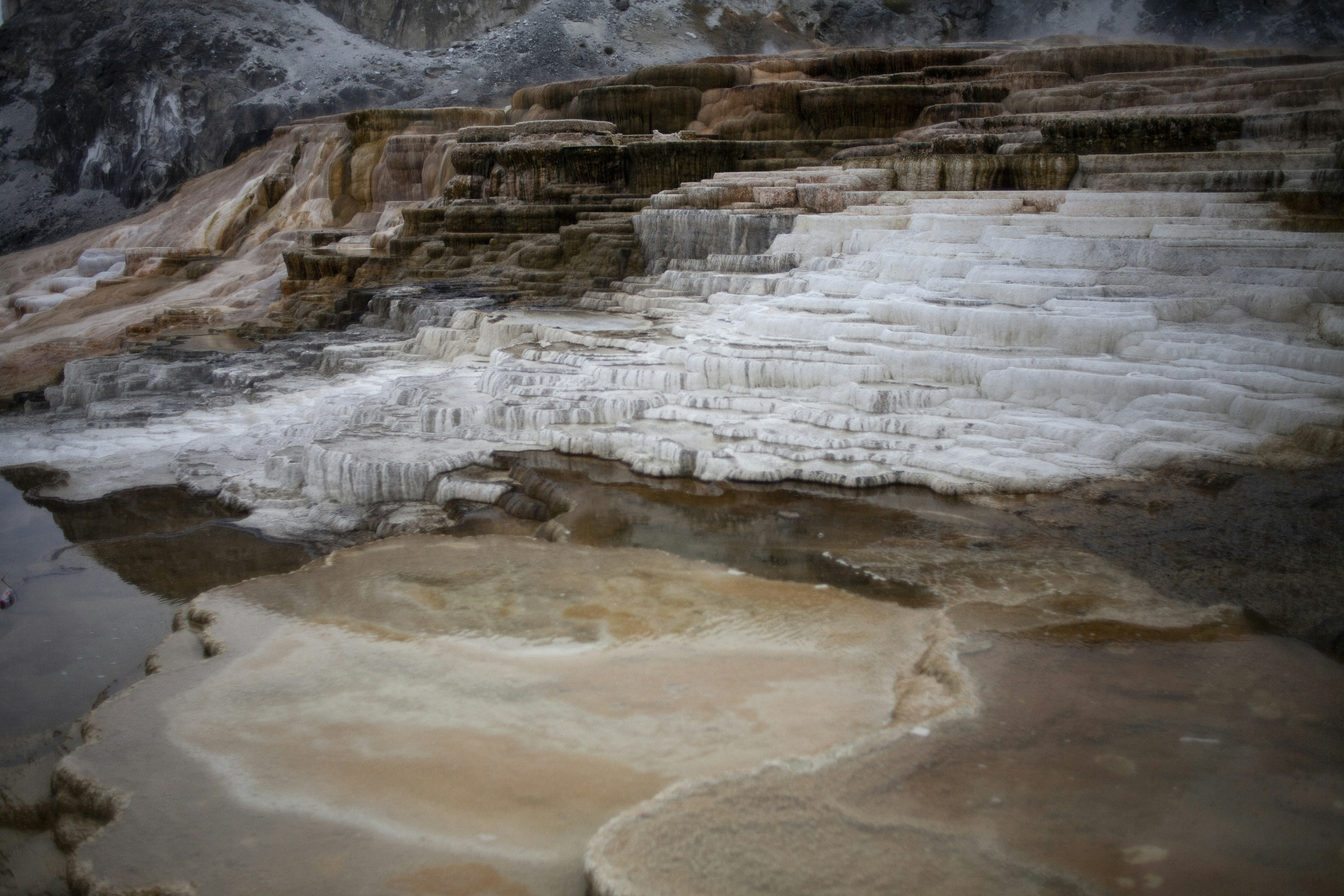 Photo by andycastillo