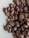 A close-up of roasted coffee beans with a rich, dark brown color and glossy texture.