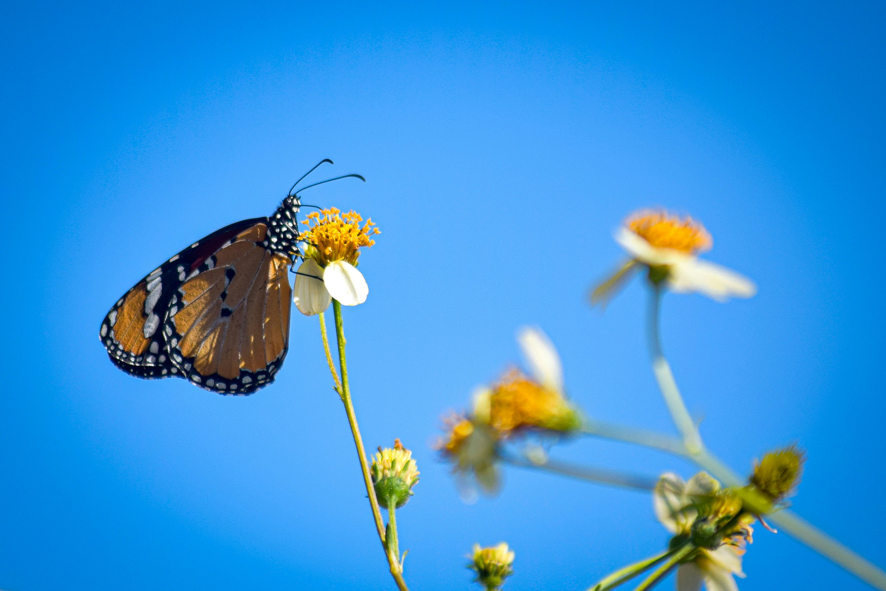 Photo by omarsobhynasef