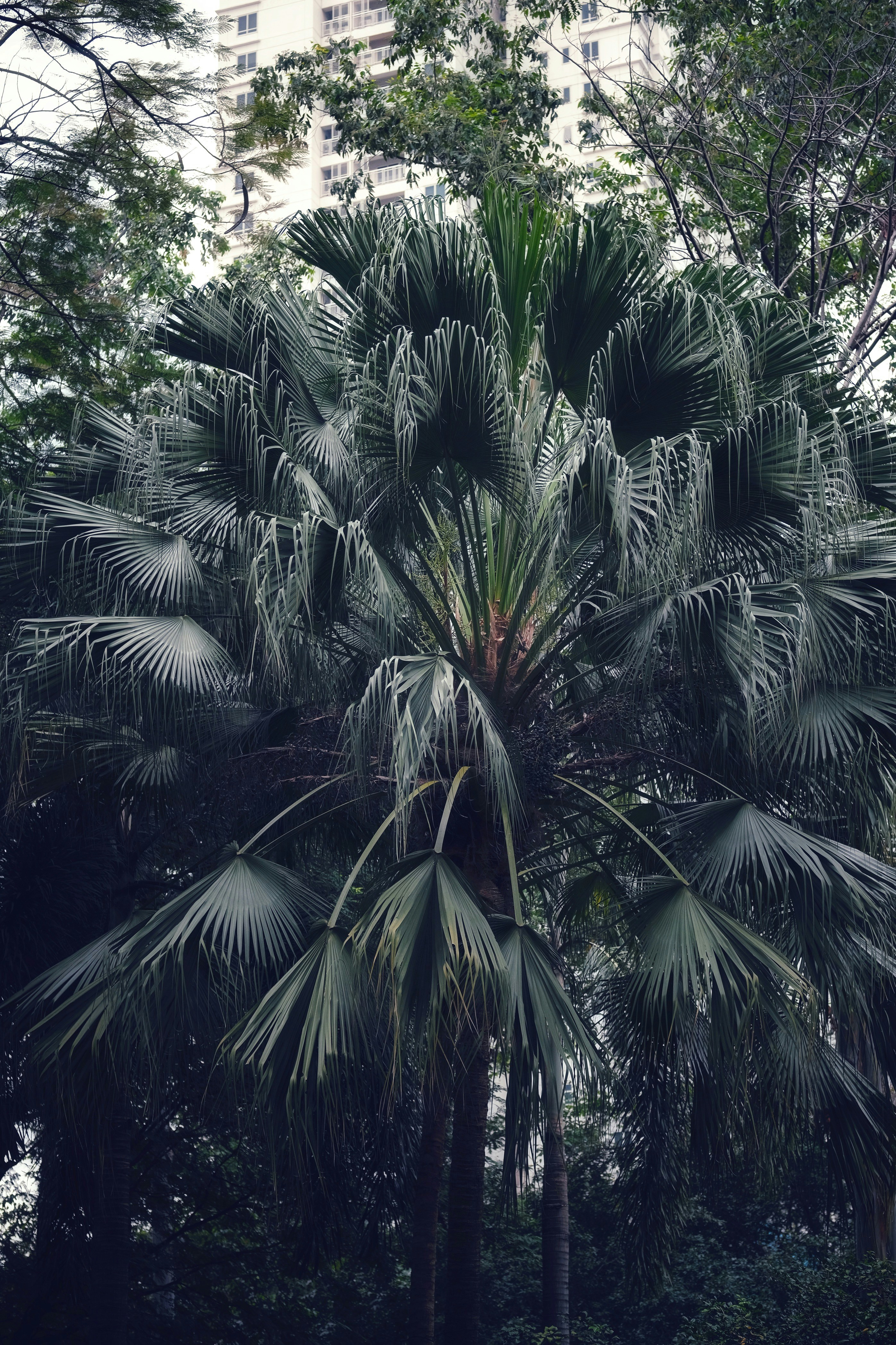 Photo by projectfarsighted