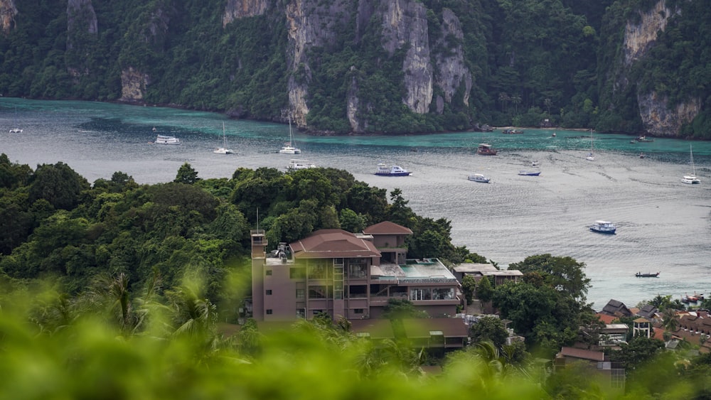 a large body of water surrounded by lush green trees