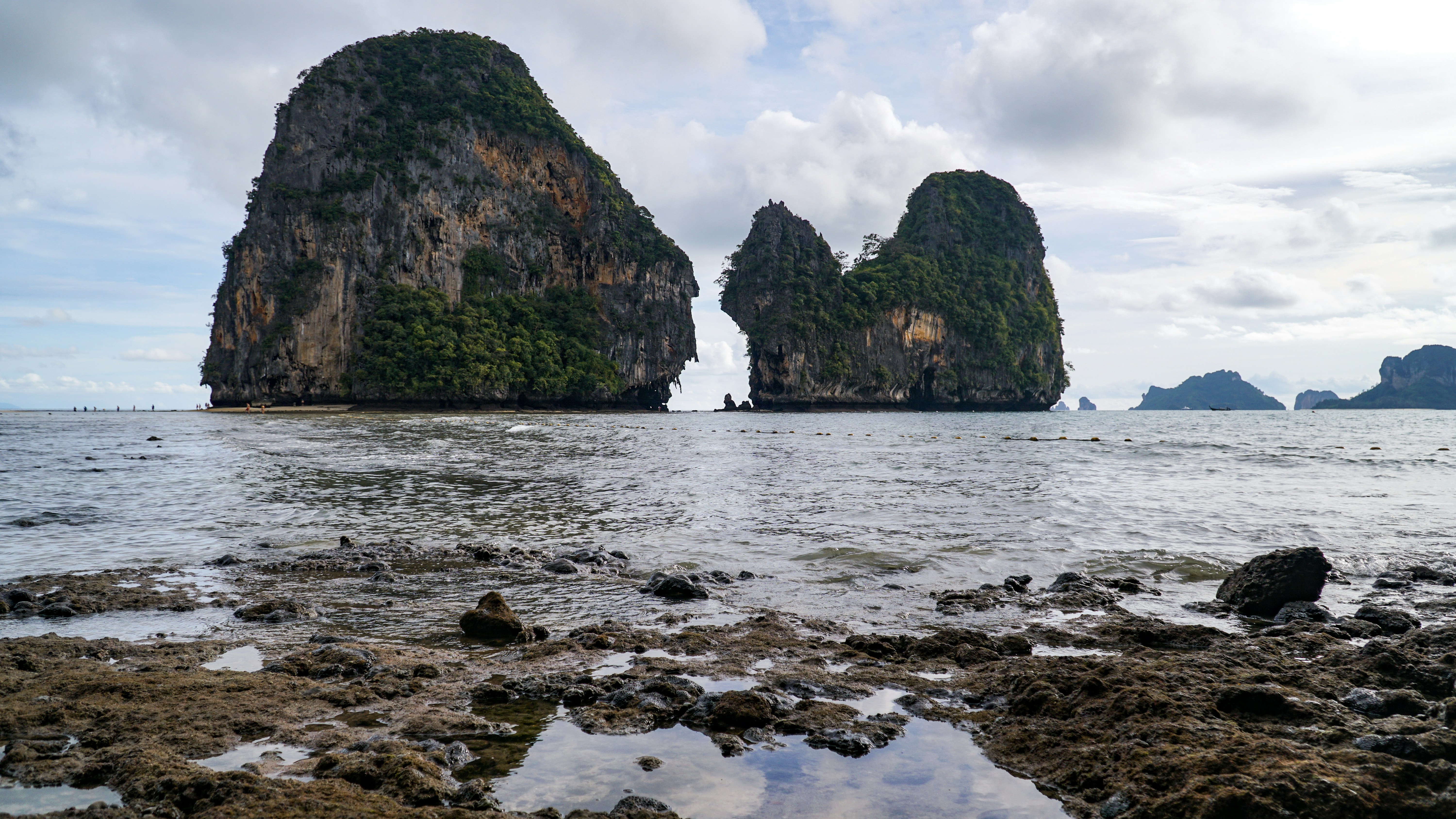 Photo by David Gardiner