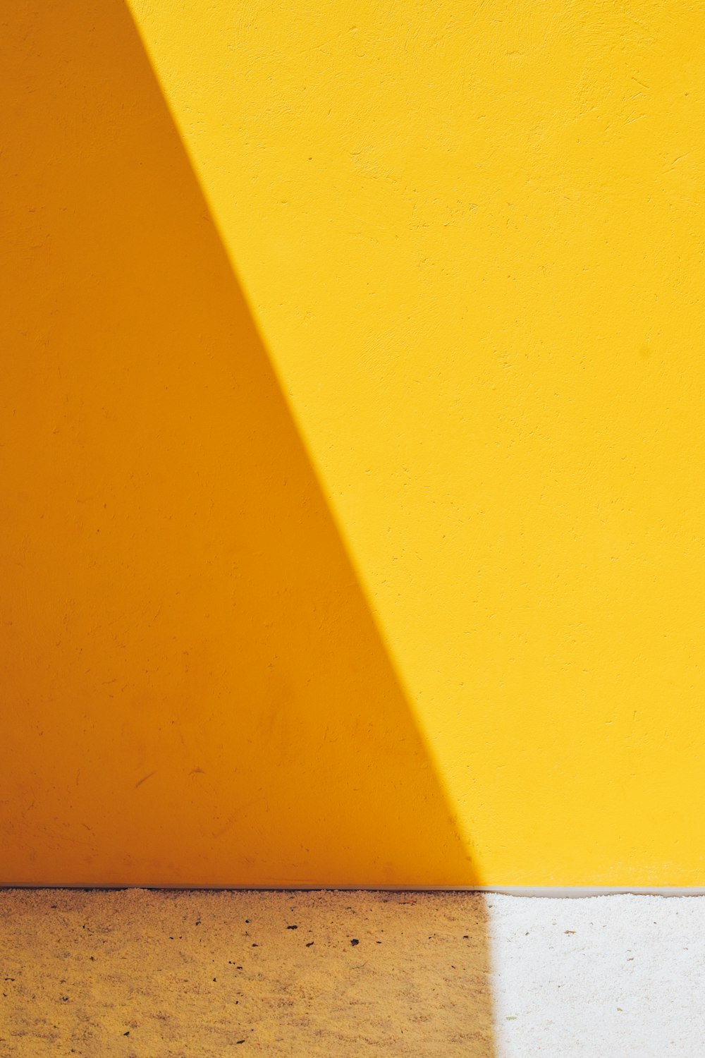 a black and white cat sitting on a yellow wall