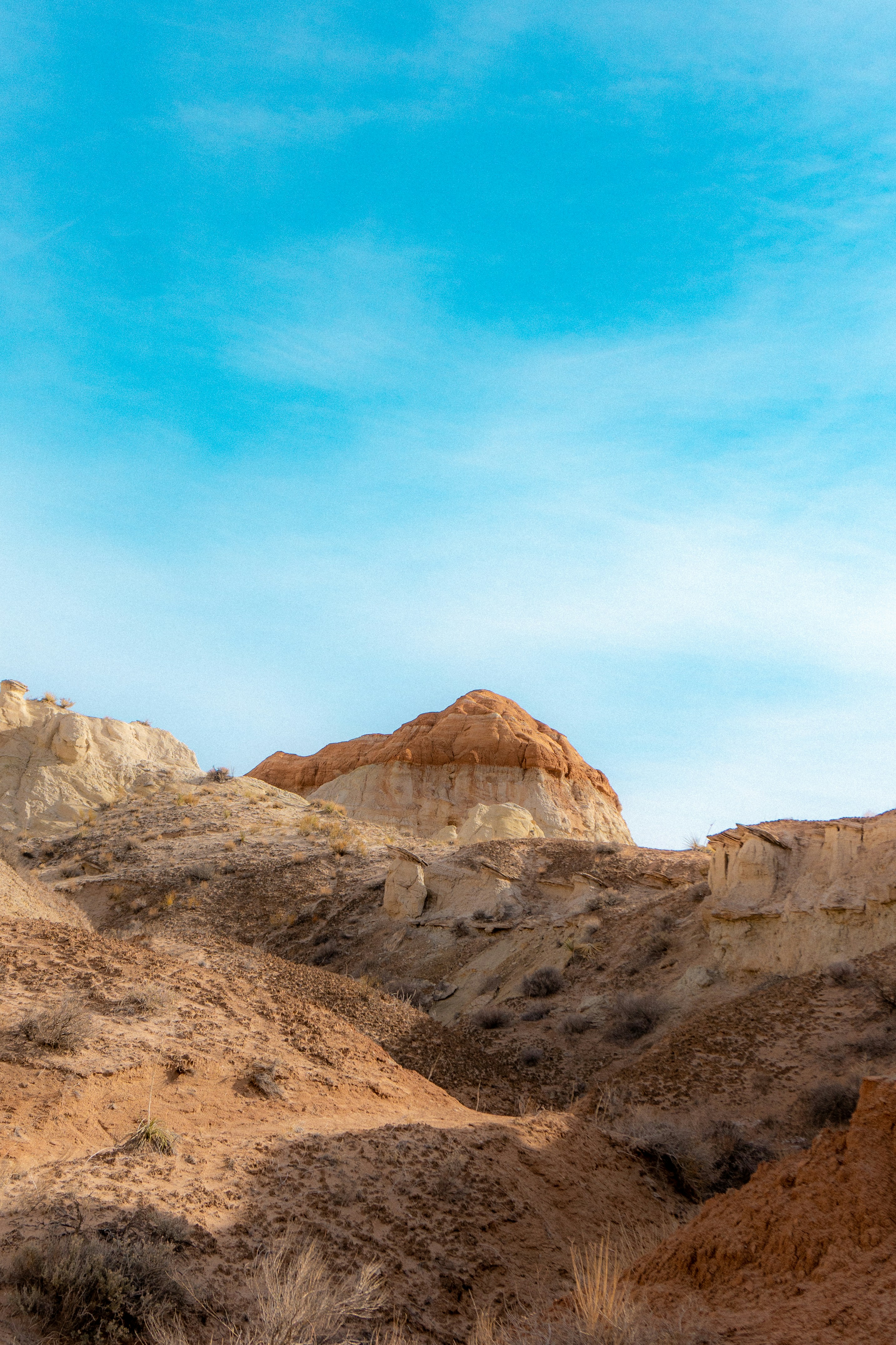 Photo by carterledford