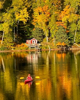 Vibrant autumn leaves framing an infallible kayak resting on a rocky shore