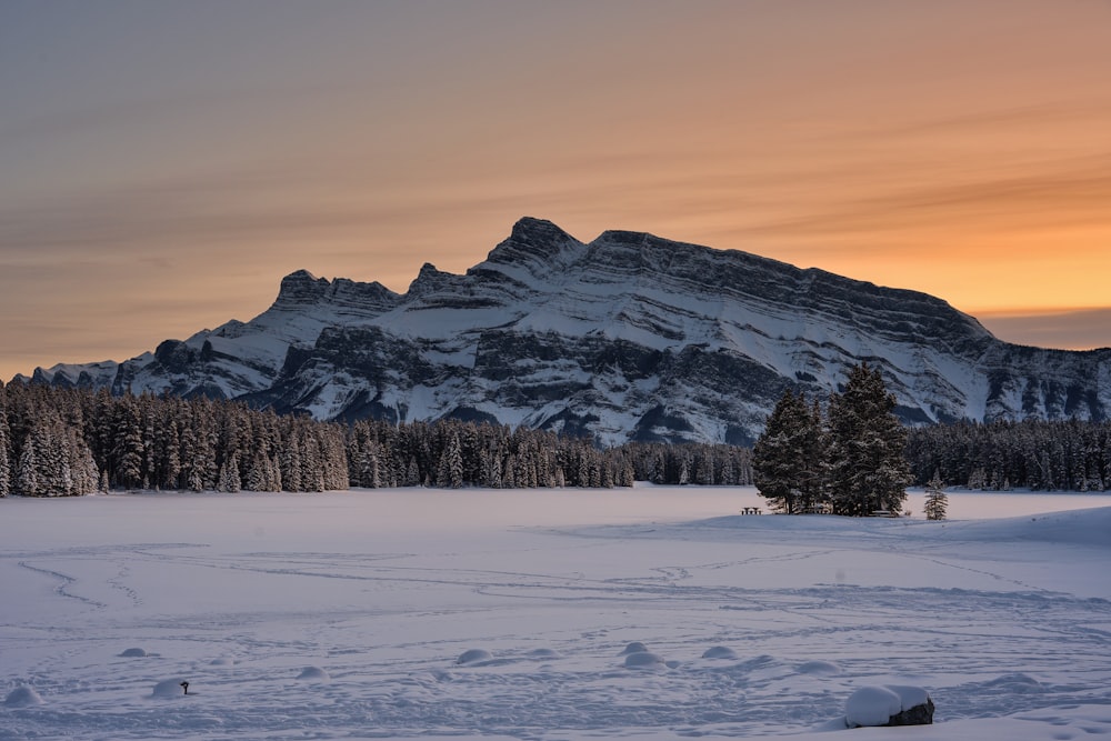 a snow covered field with a mountain in the background