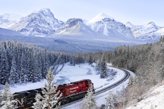 a train traveling through a snow covered forest