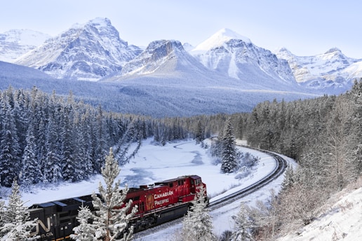 a train traveling through a snow covered forest