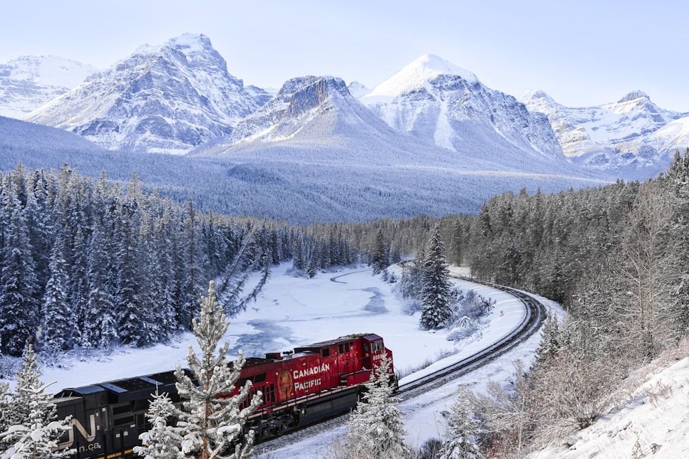 um trem viajando através de uma floresta coberta de neve