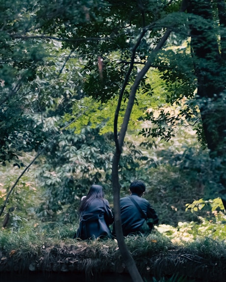 a couple of people sitting on top of a lush green forest