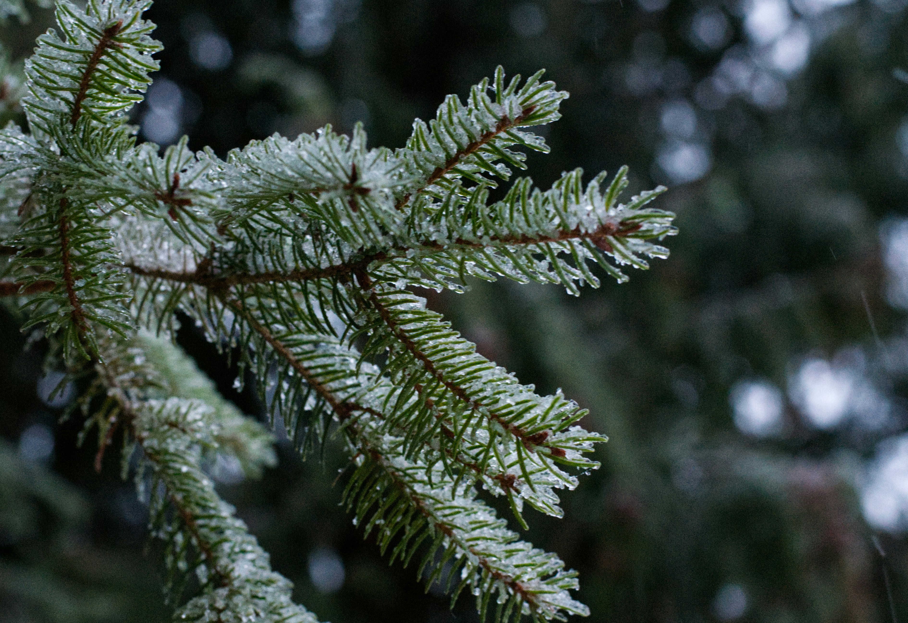 Photo by itsleiladehaan