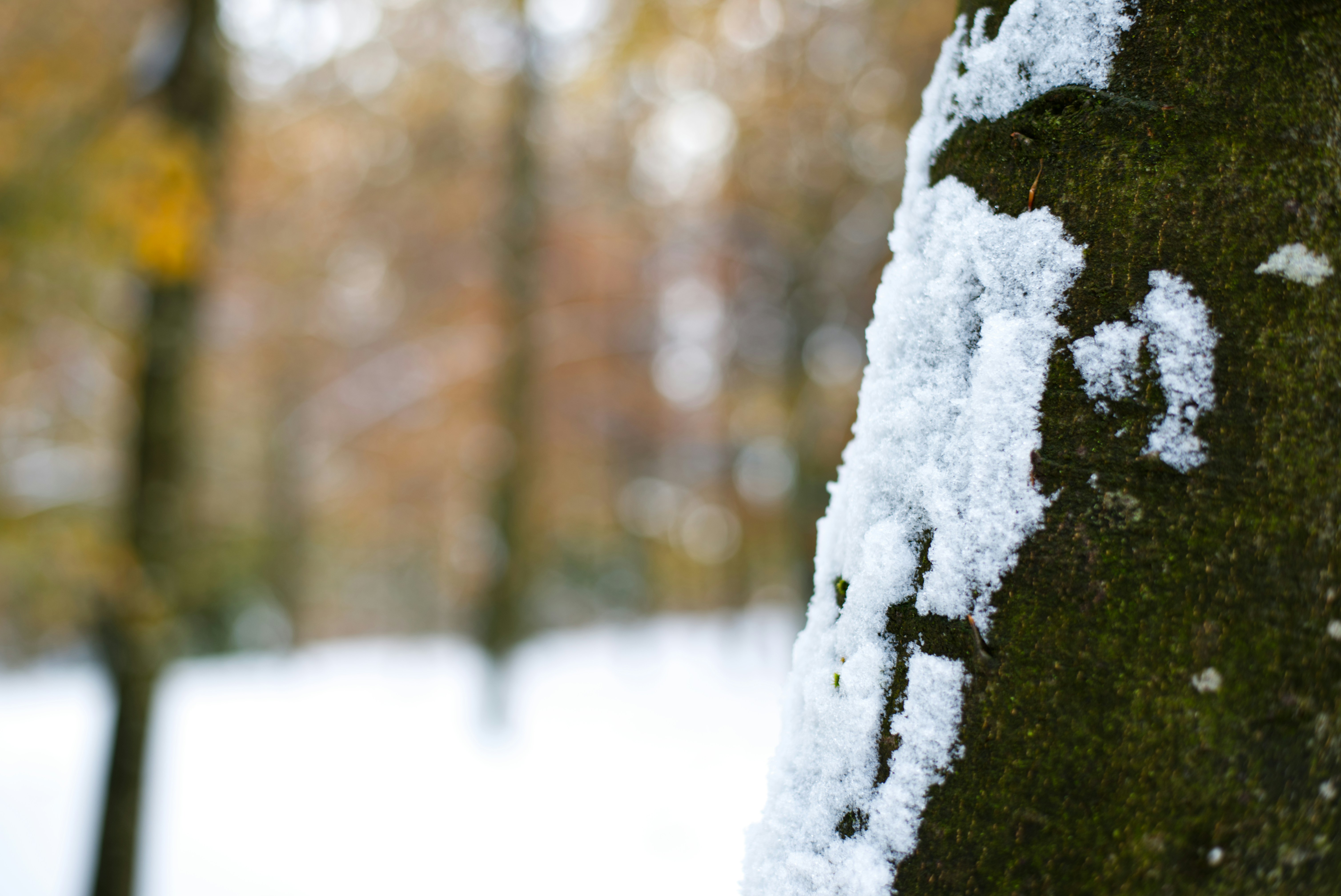 Photo by itsleiladehaan