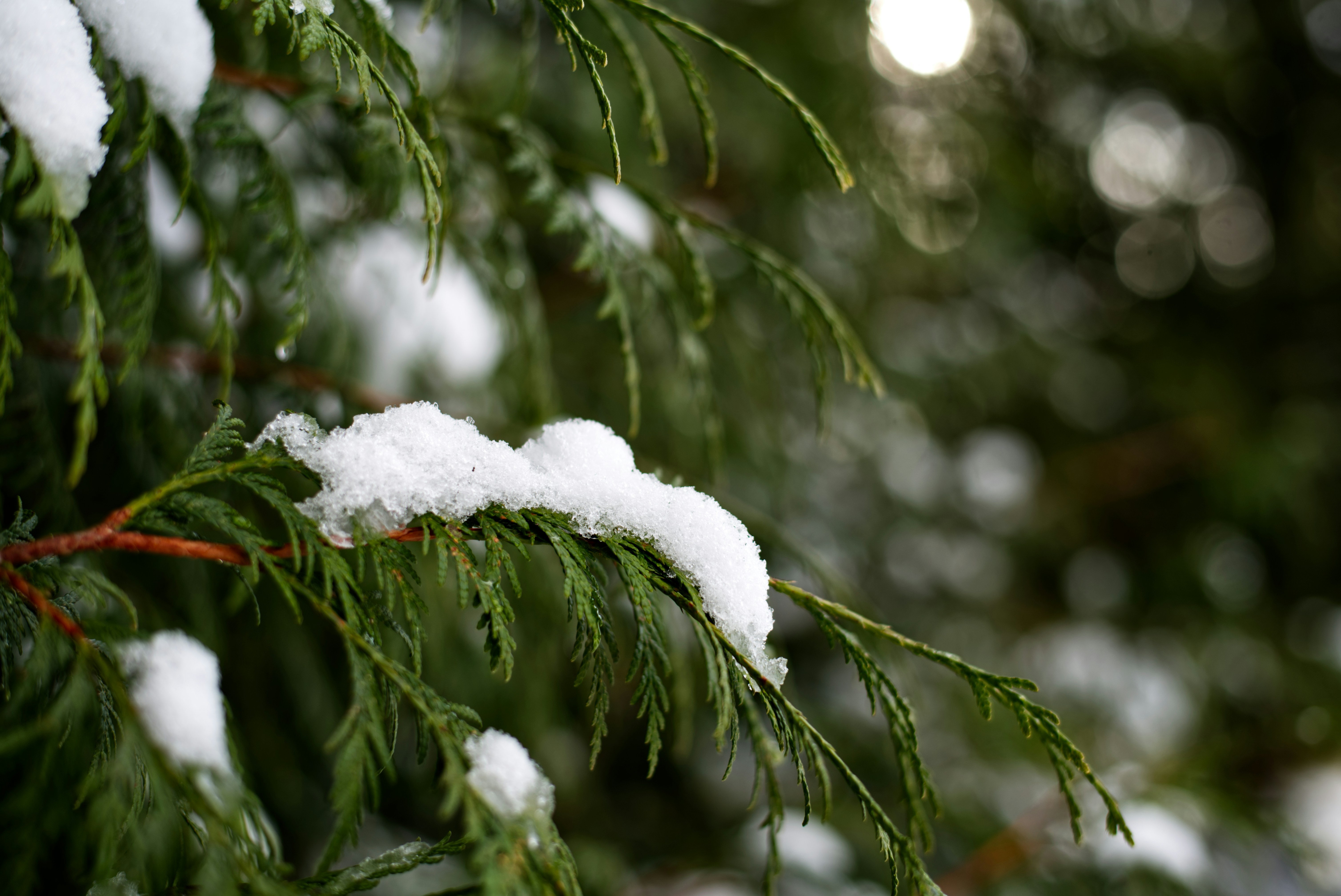 Photo by itsleiladehaan