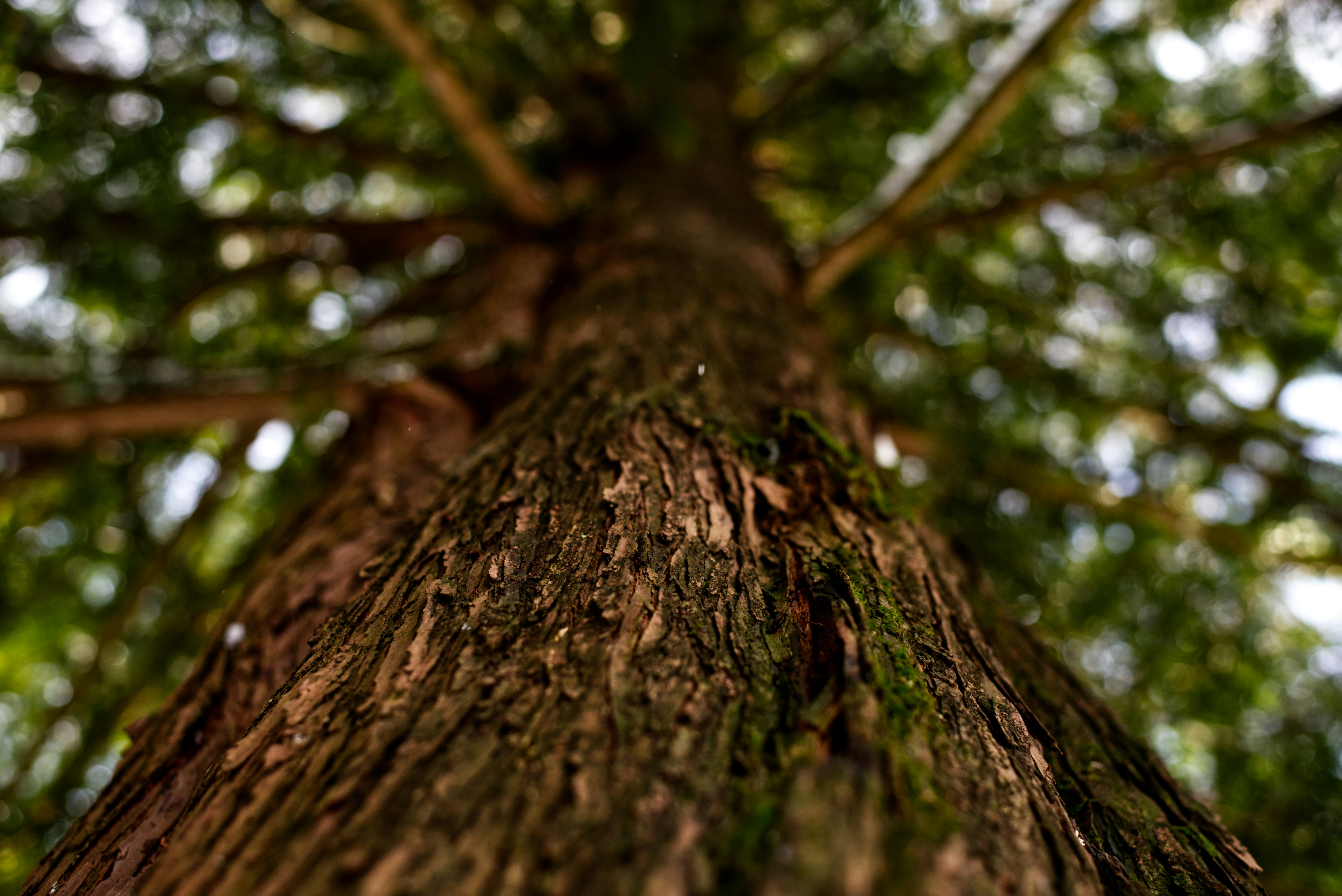 Photo by itsleiladehaan