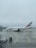A large passenger airplane is positioned on an airport tarmac on a foggy day. The aircraft is marked with the Emirates logo, and the terminal buildings are visible in the background. The ground is wet, suggesting recent rain.