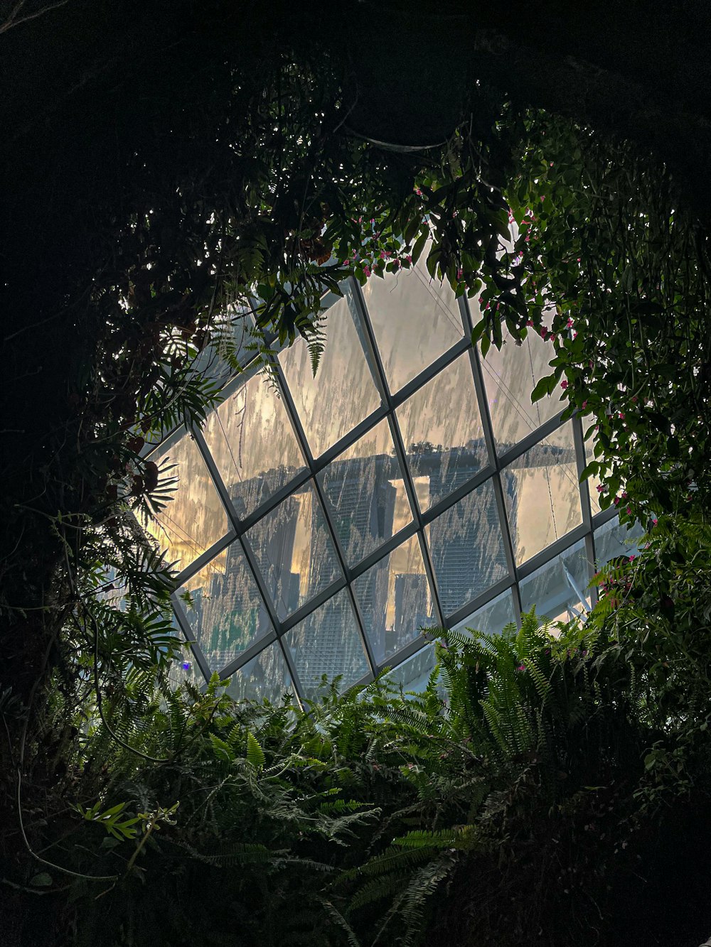 a view of a mountain through a window