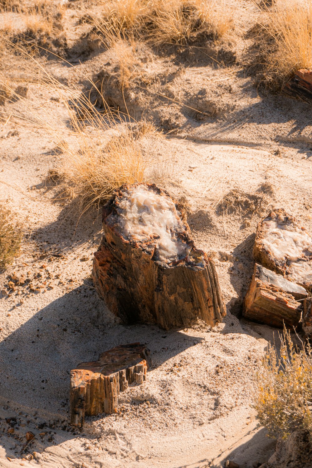 a couple of logs sitting on top of a dirt field