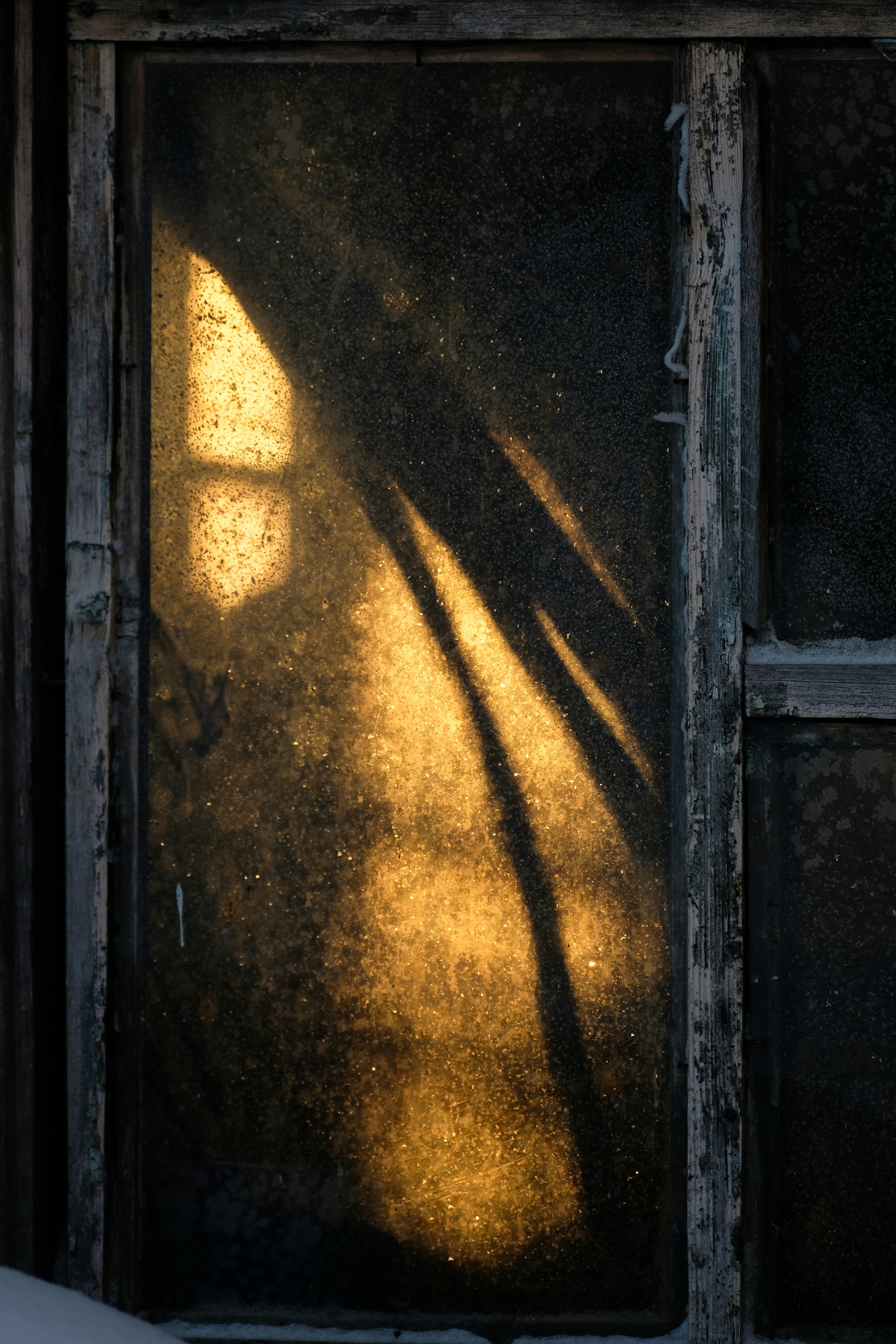 Photo by tanya_kartasheva