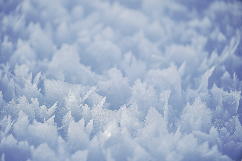 a close up of a bunch of snow flakes