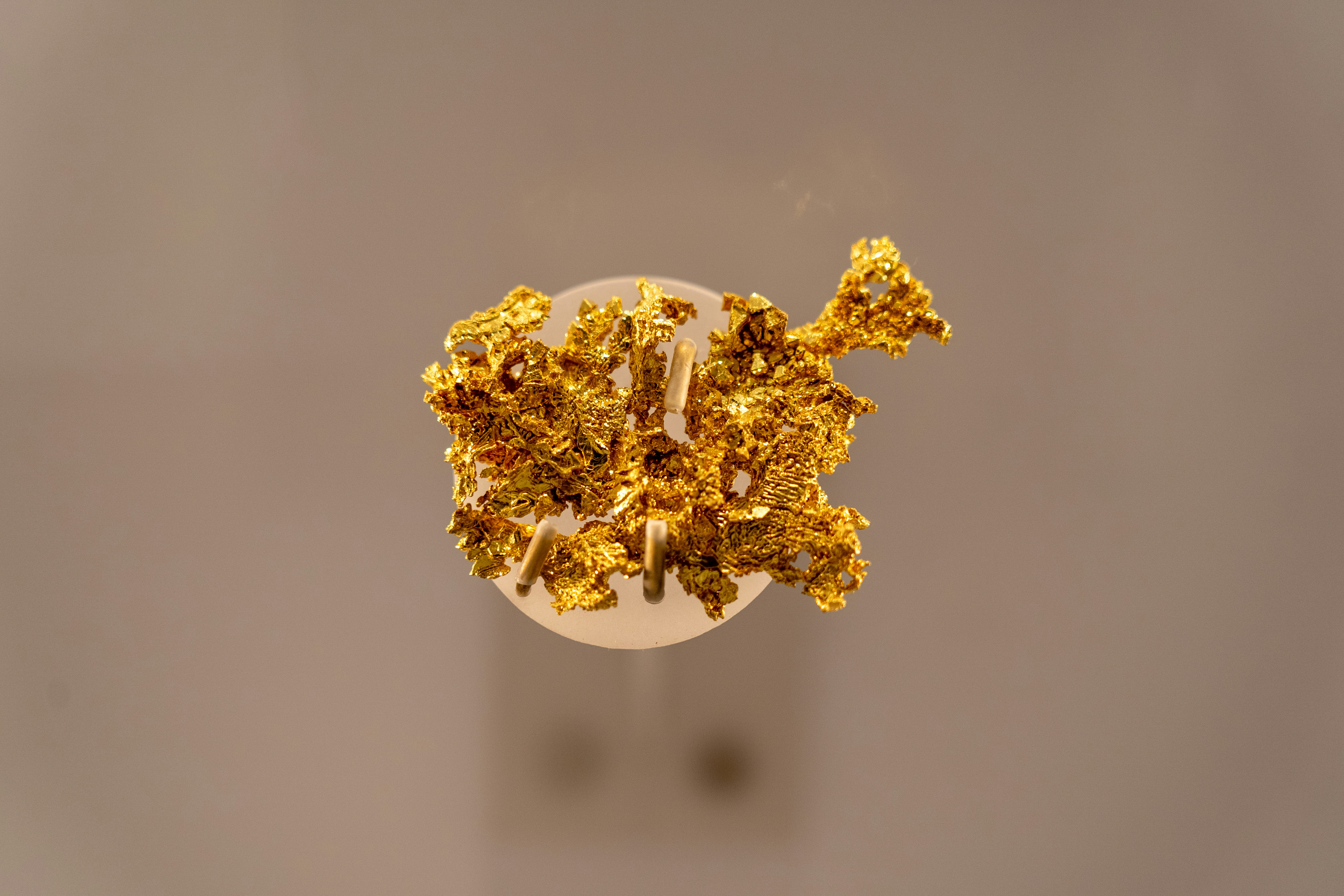 Microcinemas at Coastal Resorts: Programming, Tech and Revenue Models for 2026