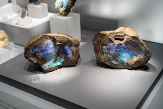 a couple of rocks sitting on top of a table