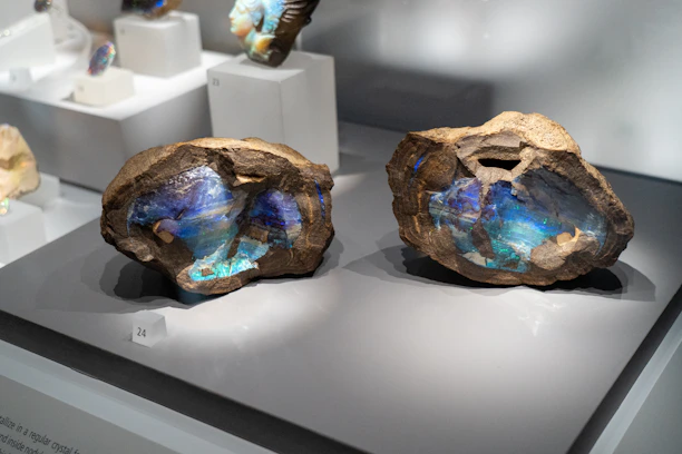a couple of rocks sitting on top of a table