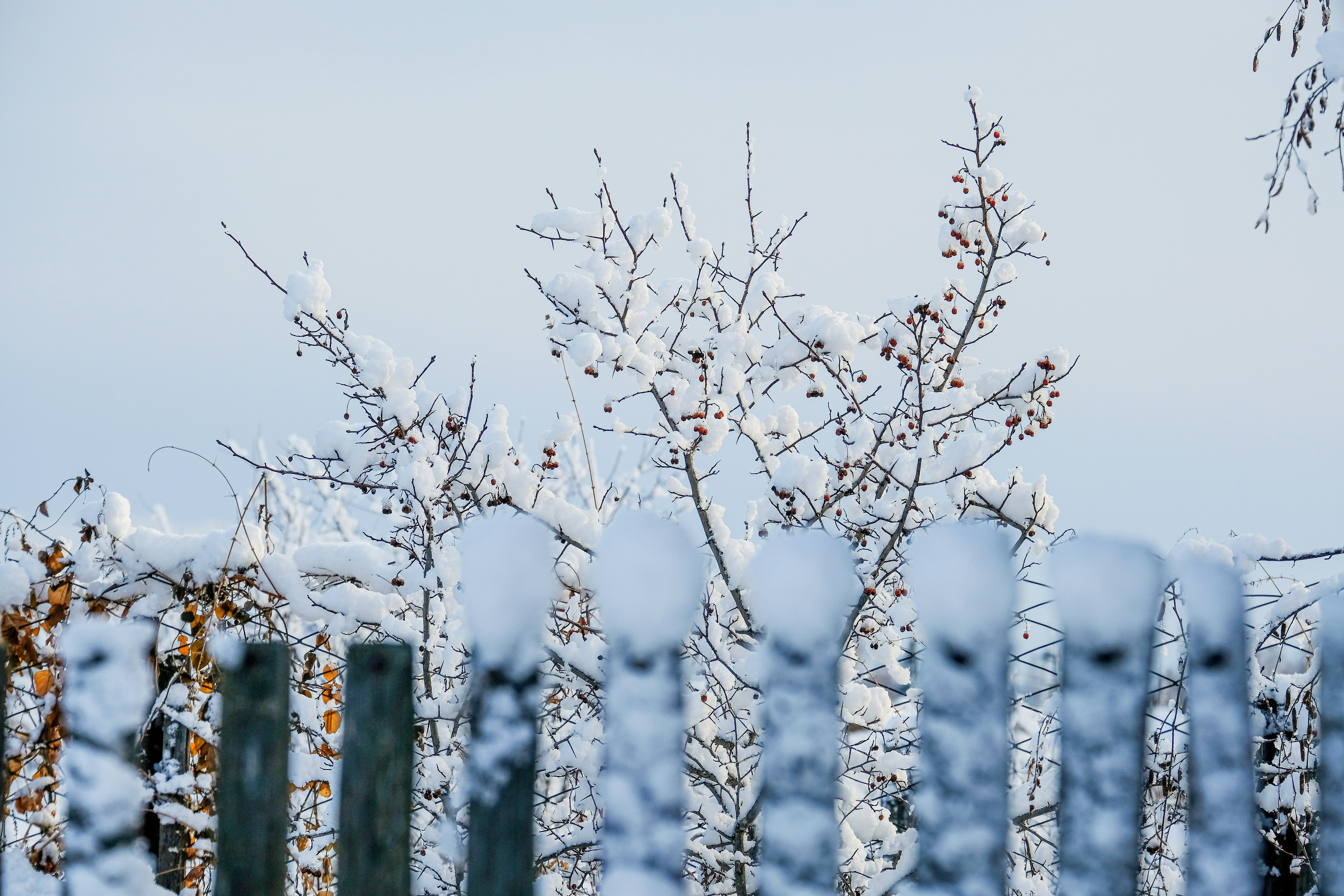 Photo by tanya_kartasheva