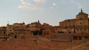 A scenic view of Timisoara's historic architecture.