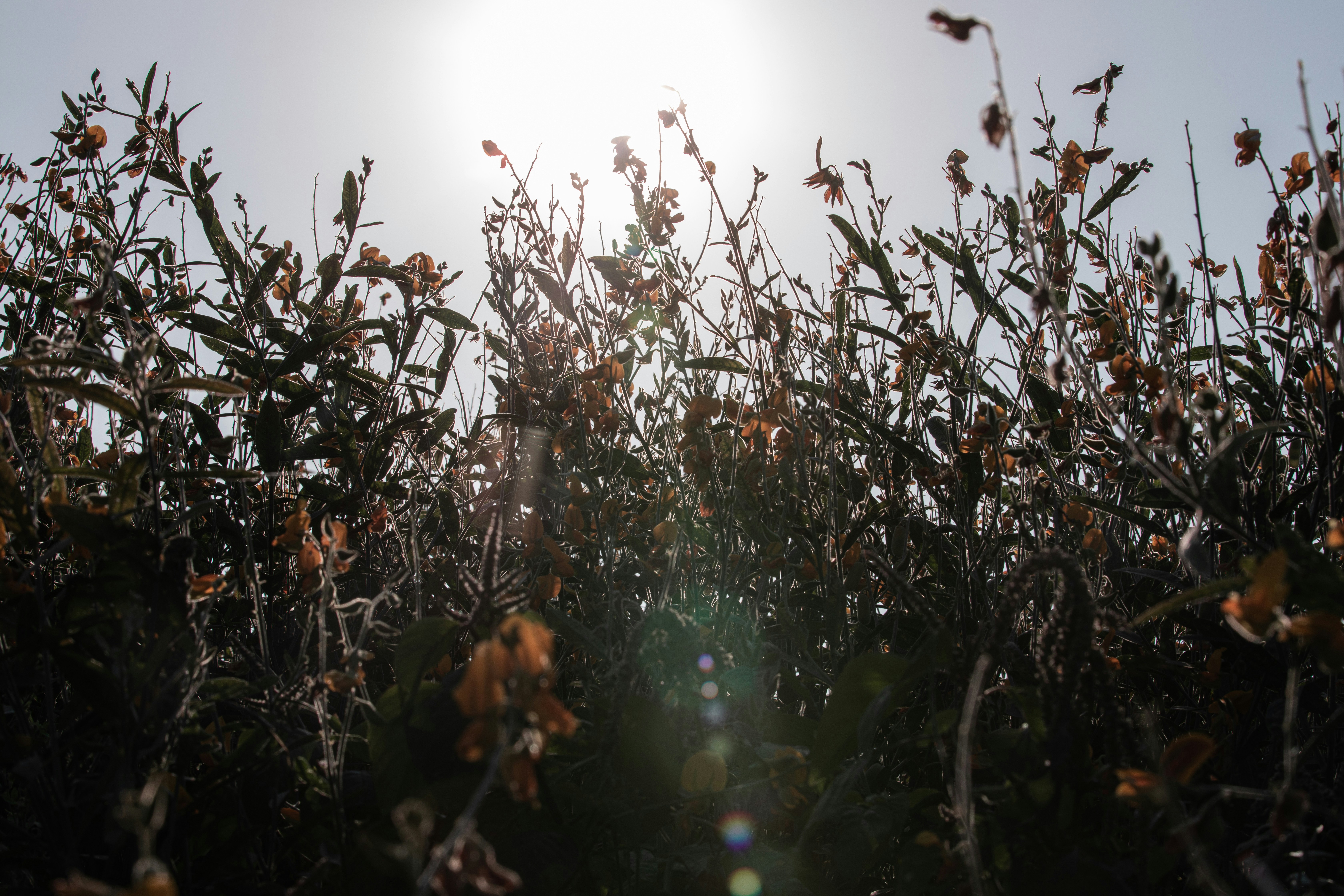 Photo by color0911