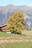 A rustic wooden chalet is nestled in a lush green landscape with a large tree adorned with vibrant yellow leaves in the foreground. Majestic mountains provide a stunning backdrop under a clear blue sky.