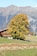 A rustic wooden chalet is nestled in a lush green landscape with a large tree adorned with vibrant yellow leaves in the foreground. Majestic mountains provide a stunning backdrop under a clear blue sky.