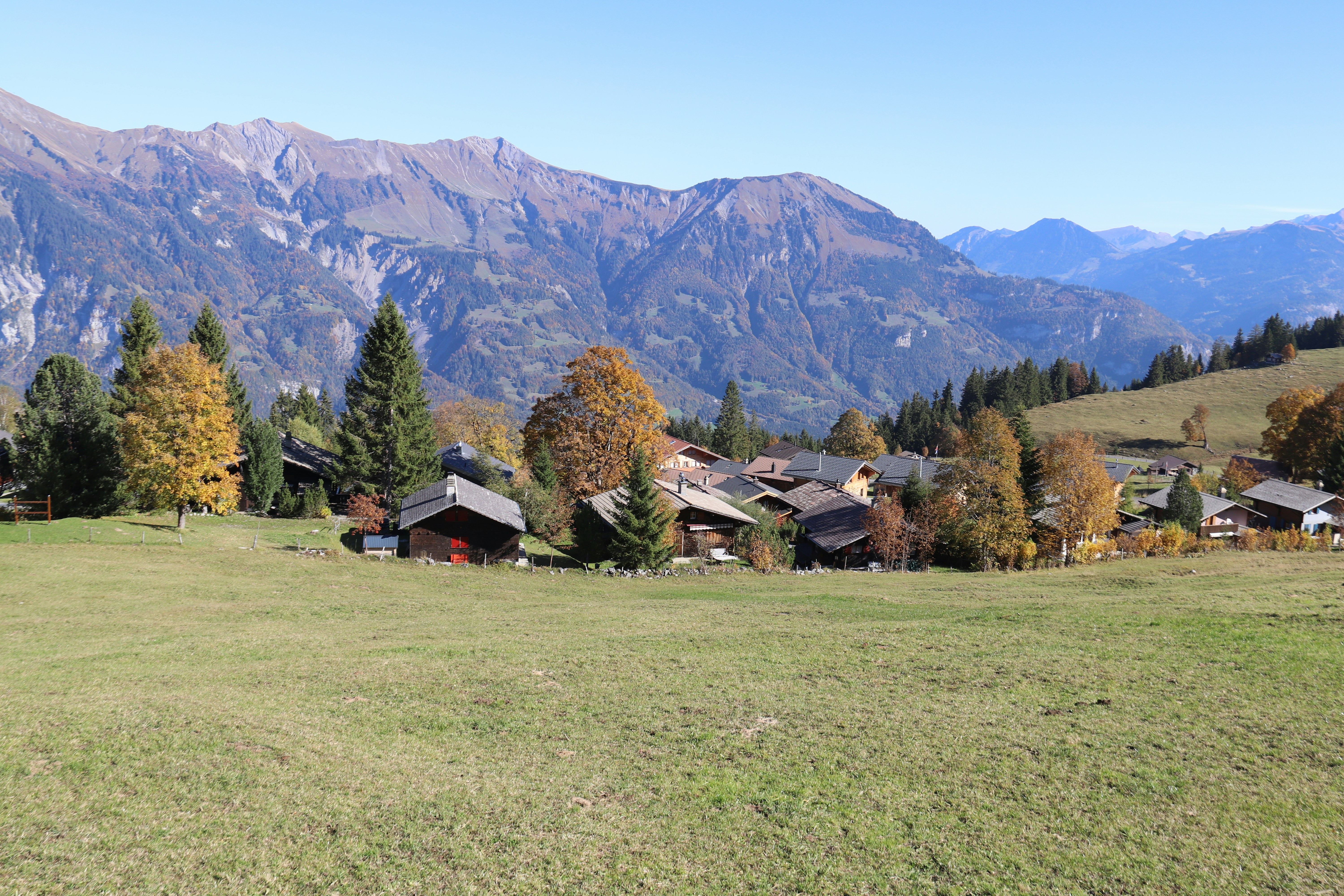 a grassy field with houses and mountains in the background