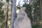 A wooden sculpture of an animal resembling a beaver or marmot is perched on a carved tree stump. The setting is a dense forest with tall trees and thick foliage in the background, suggesting a natural and rustic environment.