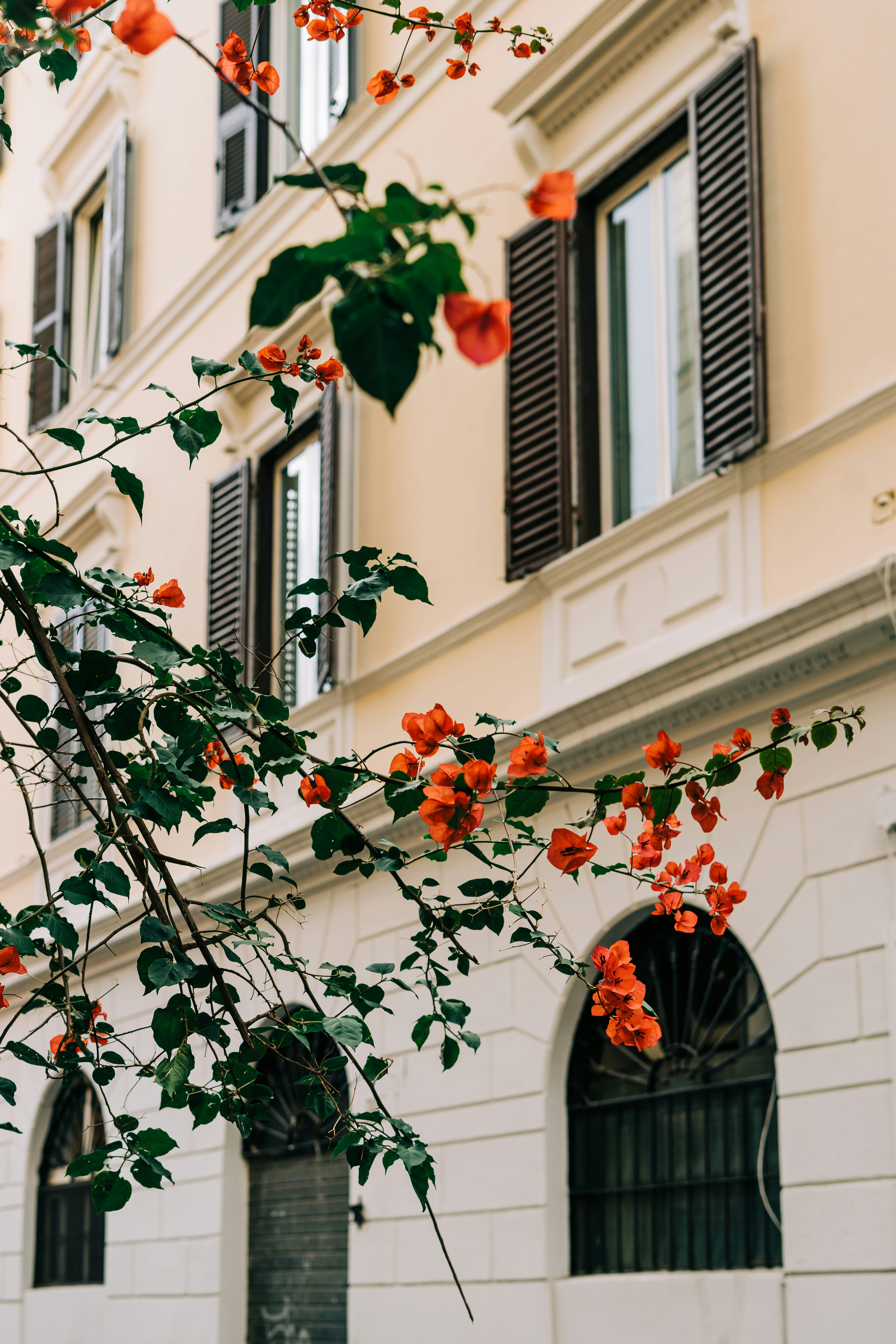 Photo by gabiontheroad