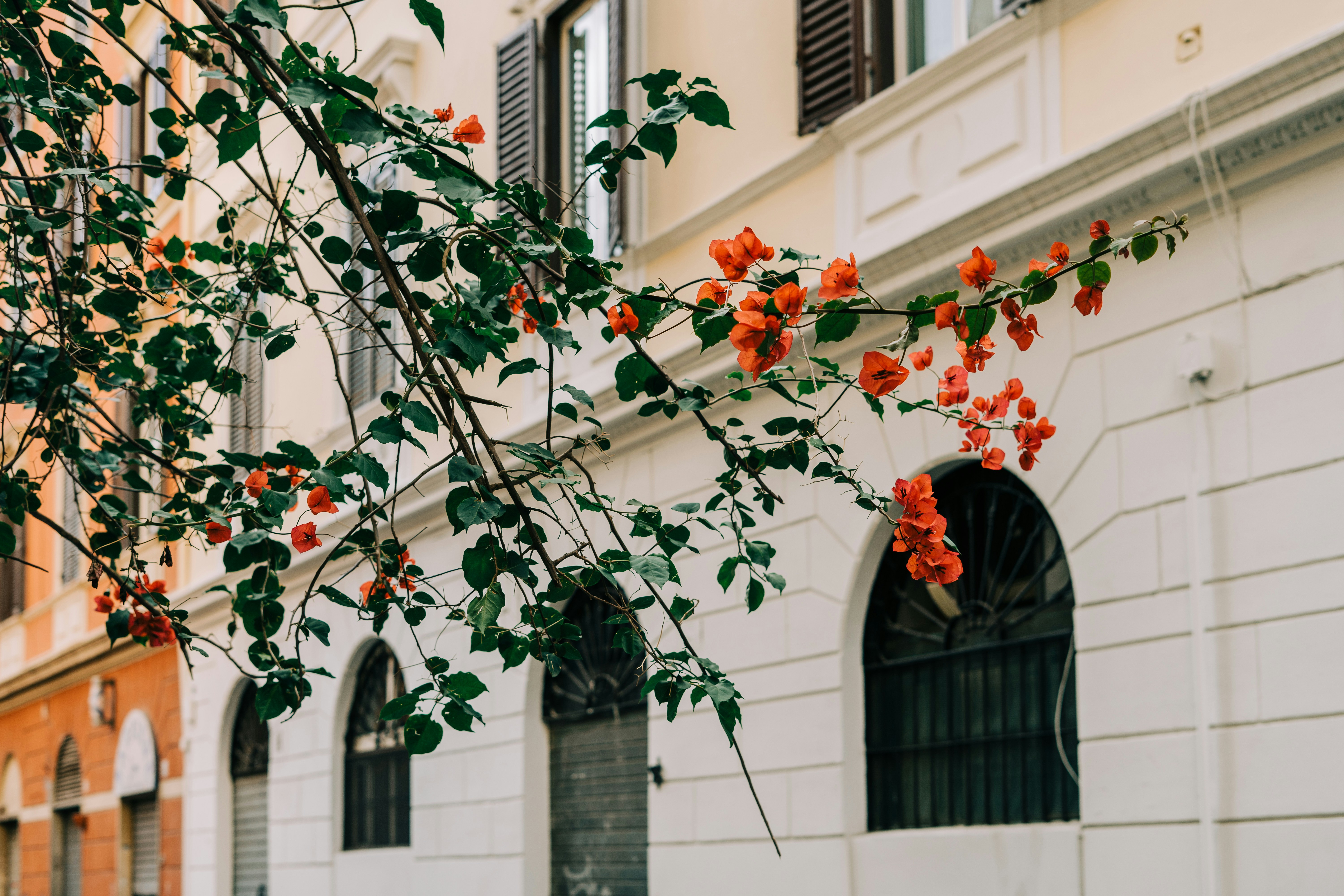 Photo by gabiontheroad