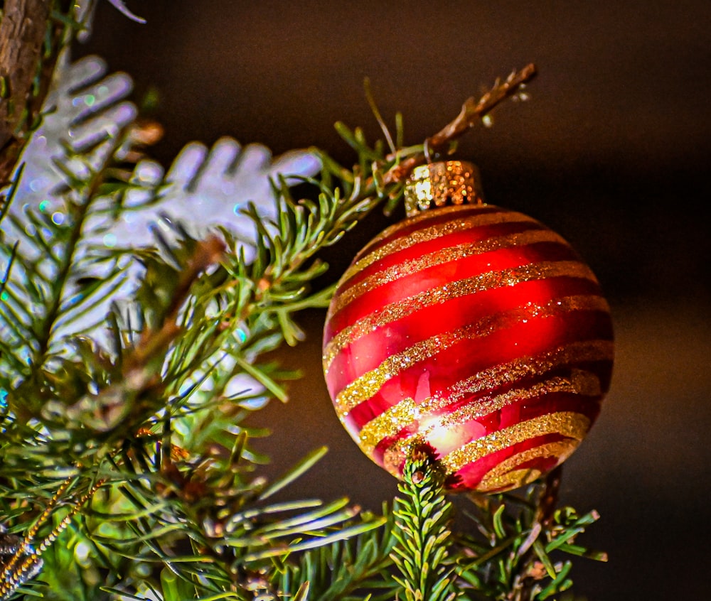 a red and gold ornament hanging from a tree