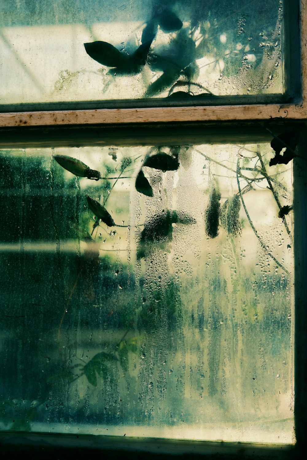 a close up of a window with rain drops on it