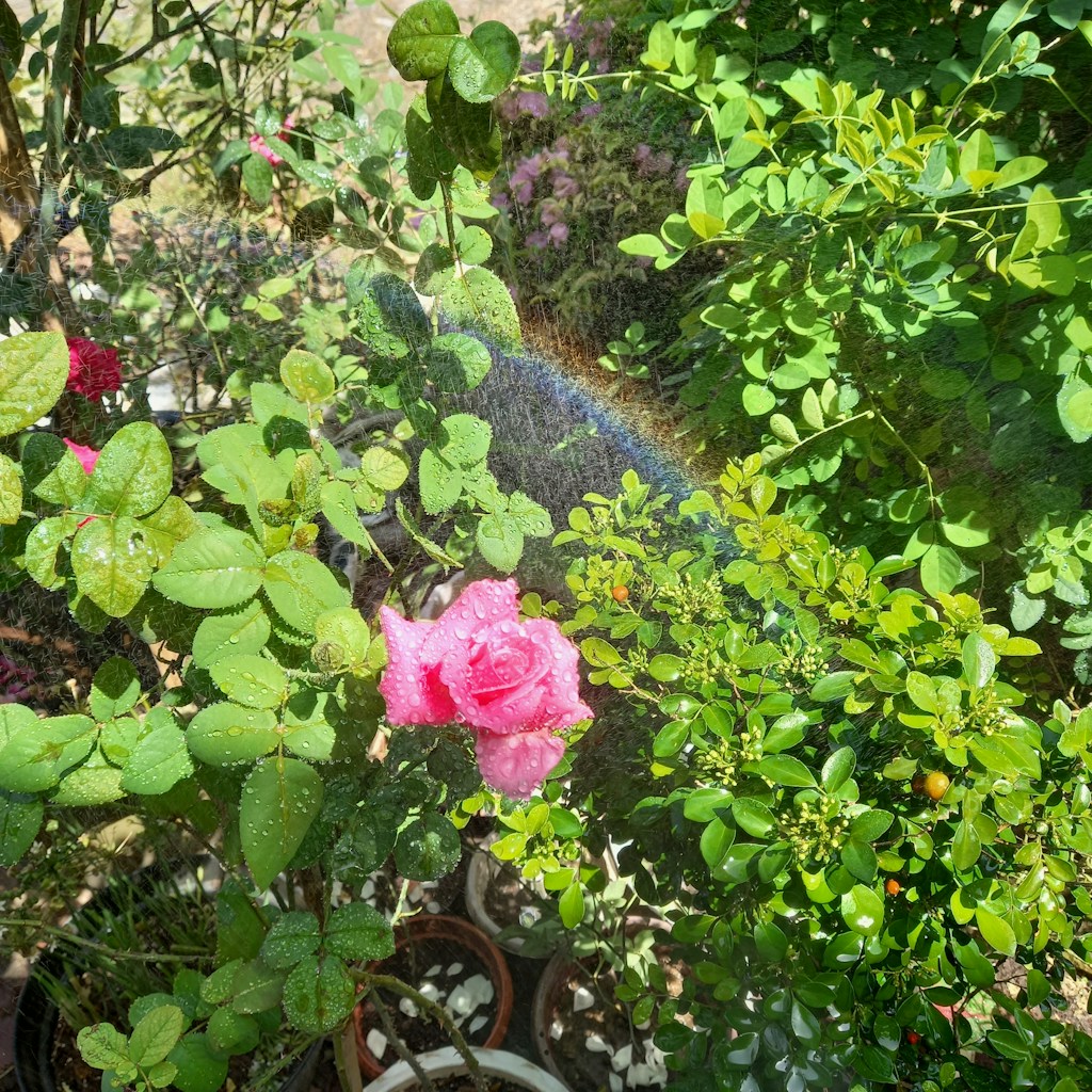 Adjustable Garden Spray Nozzle