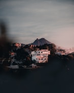 a view of a city with a mountain in the background