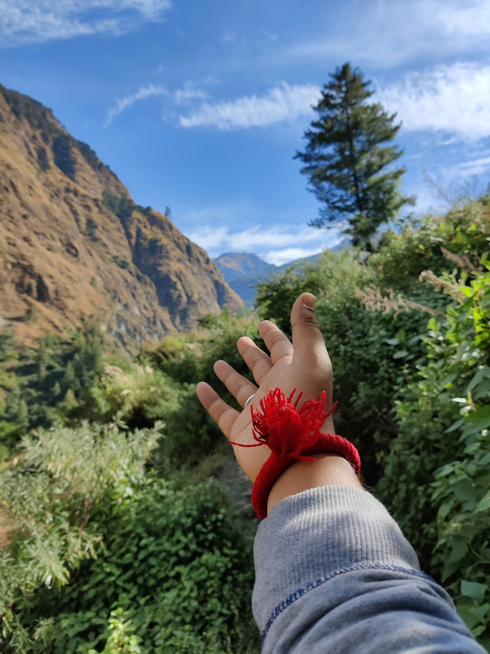 a person's hand with a red flower on it