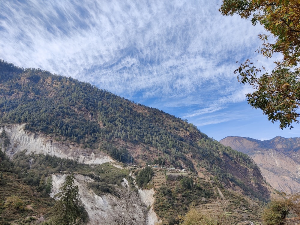 a scenic view of a mountain side with trees and mountains in the background