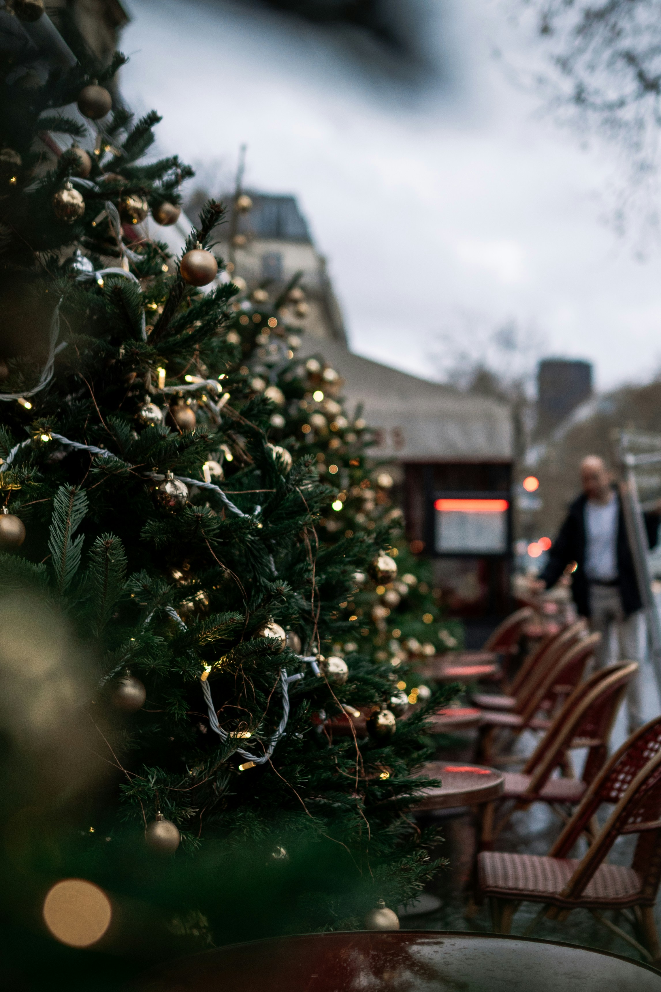 a row of chairs sitting next to a christmas tree